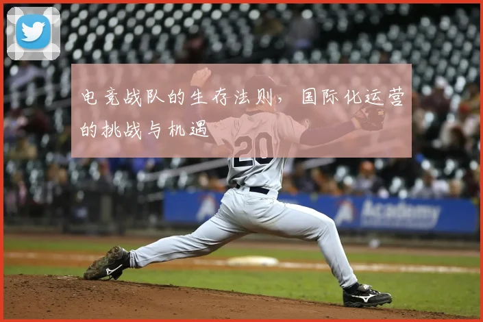 电竞战队的生存法则,国际化运营的挑战与机遇